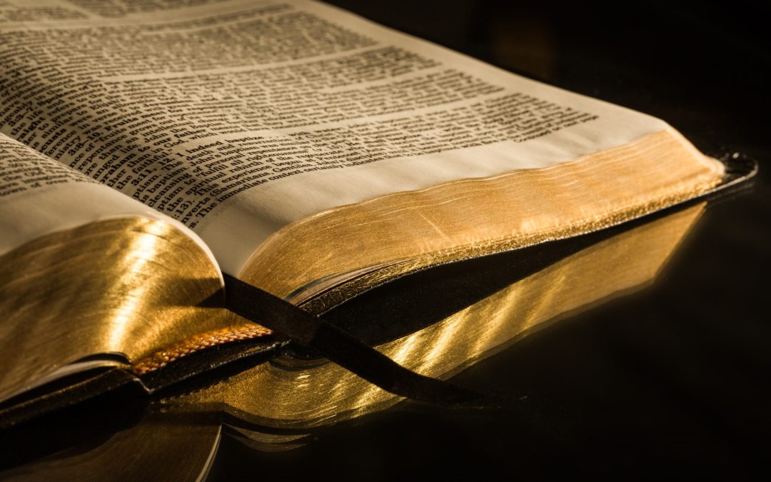 Seriously, The Bible | Karl Landis| 05.26.2019