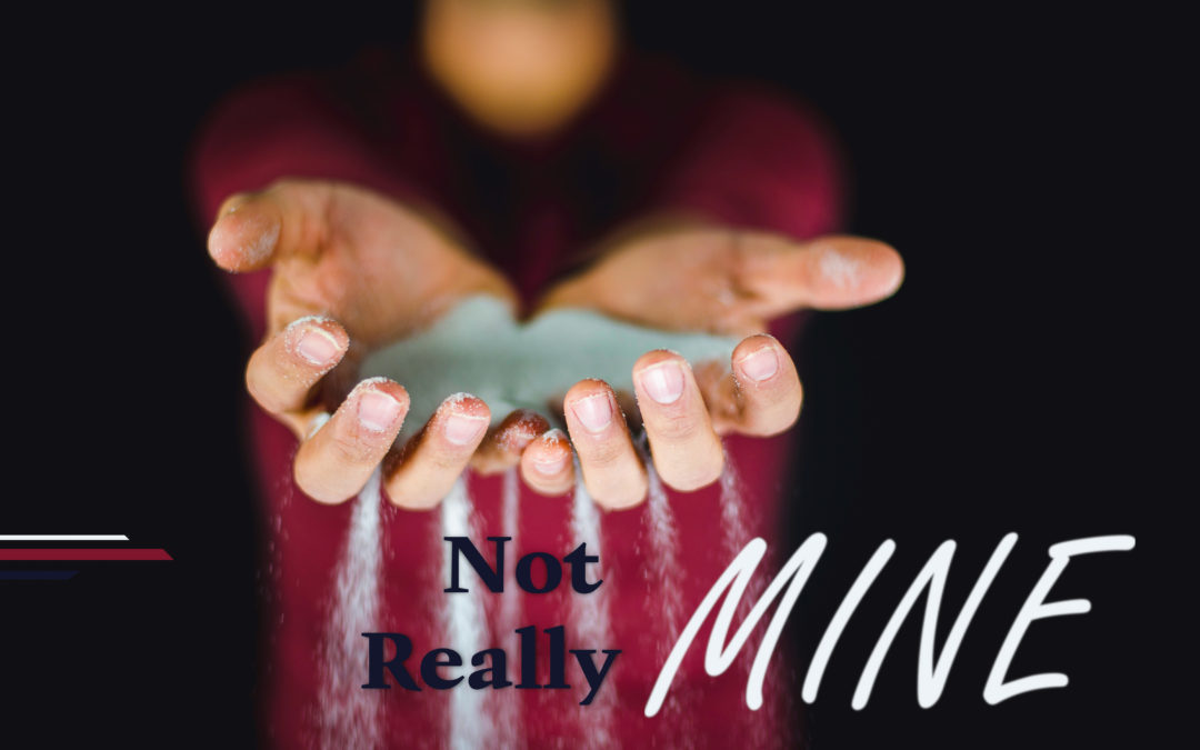 Not Really Mine: Overview | Karl Landis | 07.21.2019